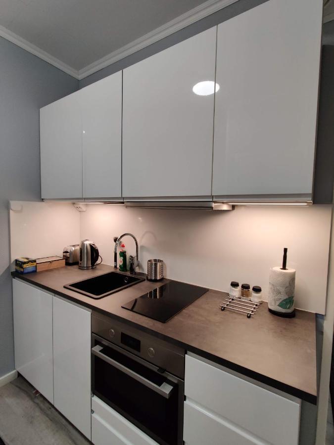 Alexi Apartments - Newly Renovated Apt In The Heart Of The City Near To Railway Station And Nokia Arena Tampere Dış mekan fotoğraf